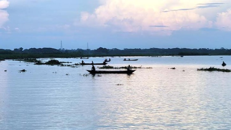 অবাধে ইলিশ ধরছে অসাধু জেলেরা