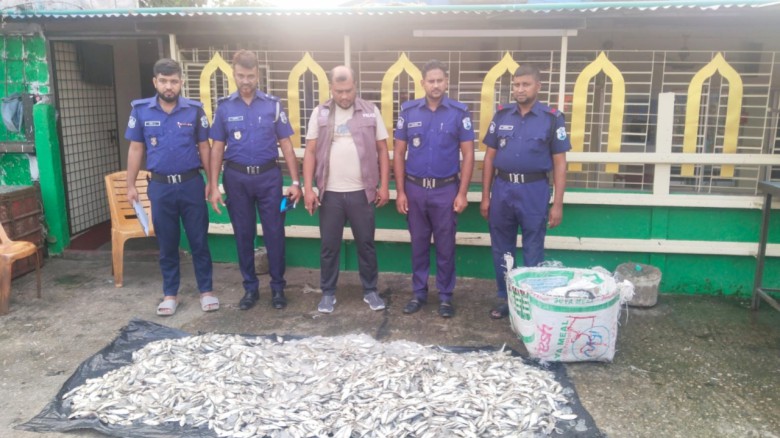 নগরীর ৩নং মাছ ঘাট থেকে ৫ মণ জাটকা উদ্ধার